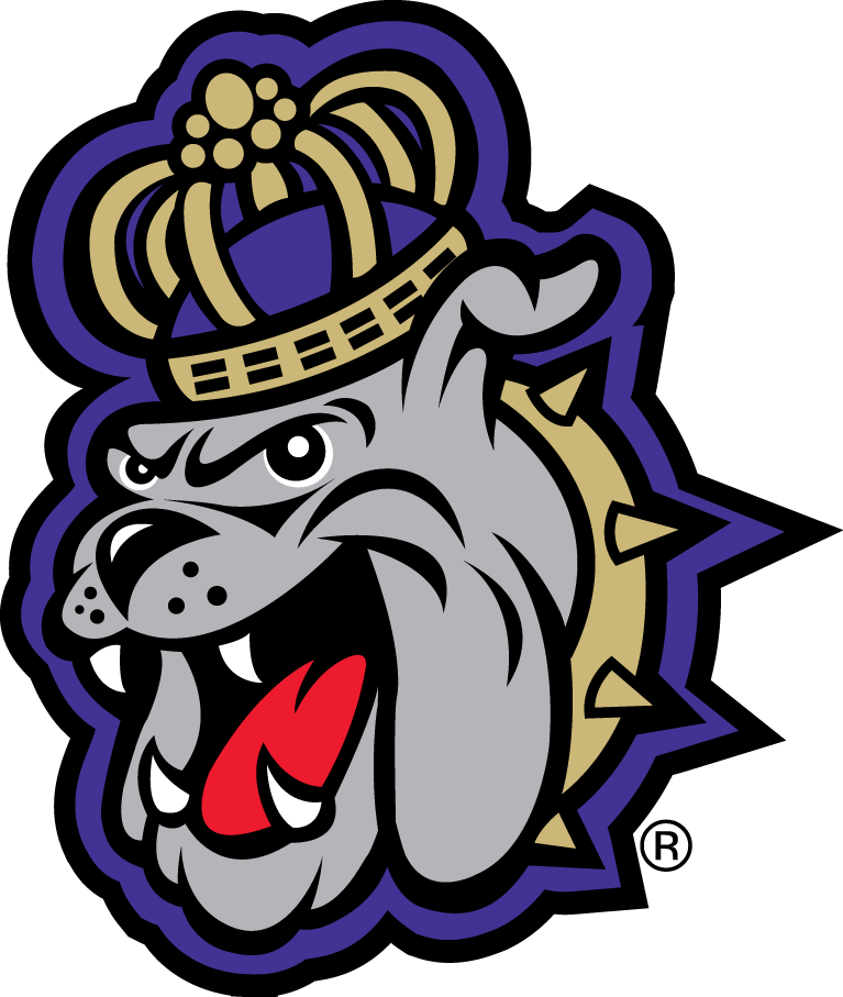 James Madison Dukes 2013-2016 Alternate Logo diy DTF decal sticker